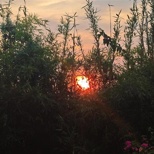 Roza - Can You Feel It (Extended Mix) 