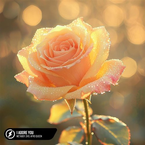 Metaboy, Dvo  Afro Queen - I Adore You (Original Mix) 