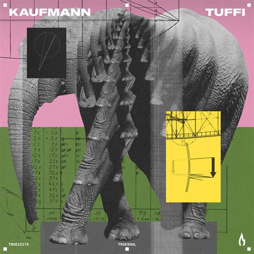 Kaufmann (DE) - Tuffi (Original Mix) 