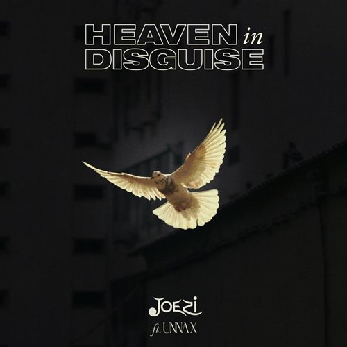 Joezi, UNNA X - Heaven in Disguise [Jonathan Amar Edit] 