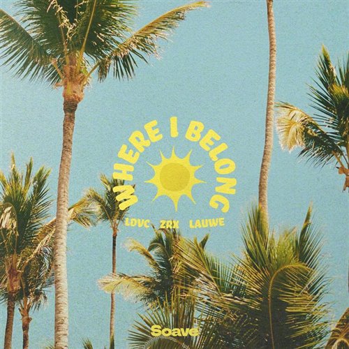 LDVC  LAUWE - Where I Belong (feat. ZRX) (Original Mix) 