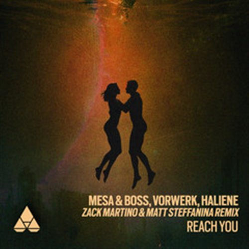 Vorwerk, HALIENE, Mesa  Boss - Reach You (Zack Martino  Matt Steffanina Extended Remix) 