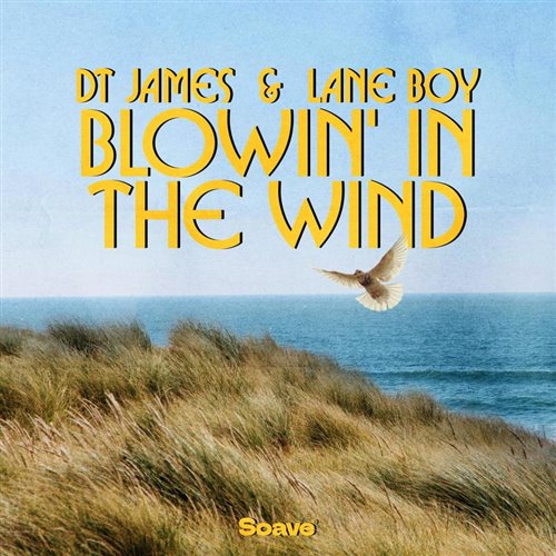 DT James  Lane Boy - Blowin in the Wind (Original Mix) 