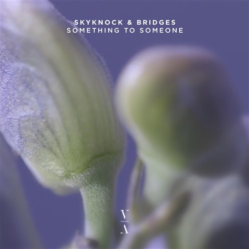 Skyknock  Bridges - Something To Someone (Original Mix) 