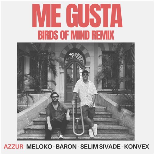 Azzur, meloko, Baron (FR), Selim Sivade  Konvex (FR) - Me Gusta (Birds Of Mind Remix) 
