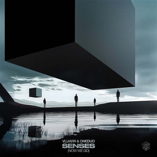 Vluarr  ONEDUO - Senses (Now We Go) (Extended Mix) 