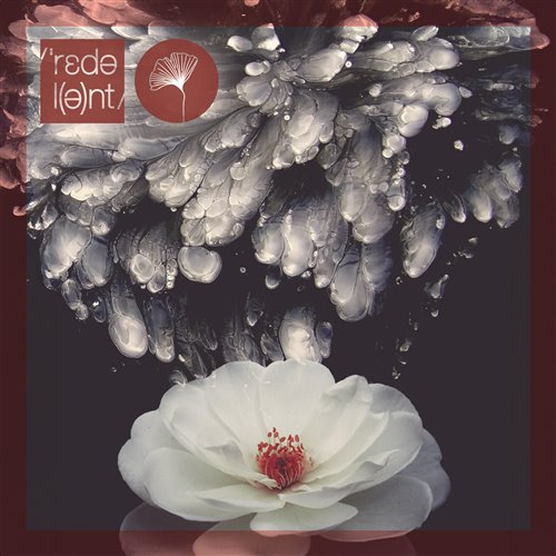 La Santa, G.Zamora - Oasis (Safar (FR) Extended Remix) 