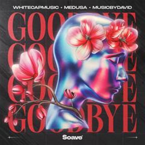 WhiteCapMusic  MusicByDavid - Goodbye (feat. Medusa) [Extended Mix] 