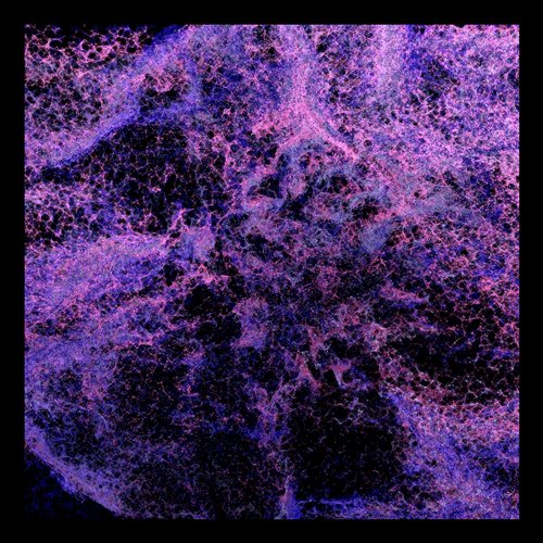 MAXI MERAKI, Orsay - Amado (Original Mix) 