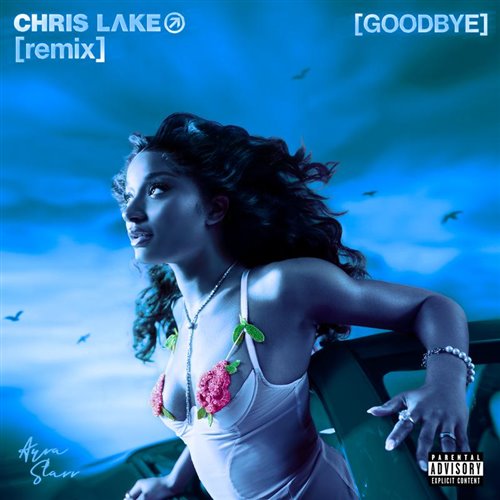 Ayra Starr - Goodbye (Warm Up) (Chris Lake Extended Remix) 