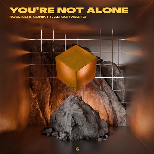 Kosling  NONIK ft. Ali Schwartz - Youre Not Alone (Extended Mix) 