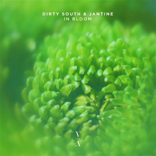 Dirty South, Jantine - In Bloom (Original Mix) 