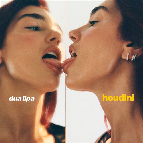 Dua Lipa Vs Alok  Ava Max - Houdini Car Keys (DanielBoy Mashup) 