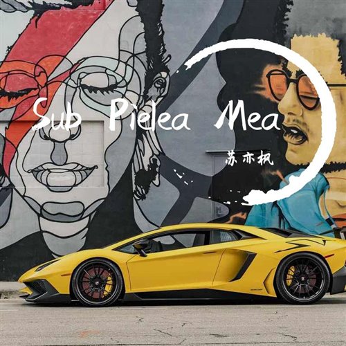 Taylor Swift - Love Story(G.A.L.E.N REWORK)_[]