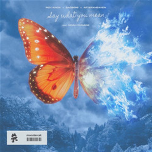 ROY KNOX, SadBois  afterxheaven - Say What You Mean (Feat. Noah Cunane) (Original Mix) 