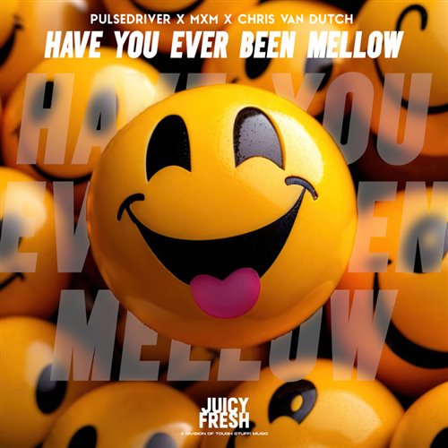 Pulsedriver, MXM  Chris van Dutch - Have You Ever Been Mellow (Original Mix) 