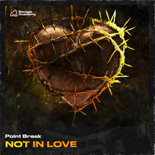 Point Break - NOT IN LOVE (Original Mix) 