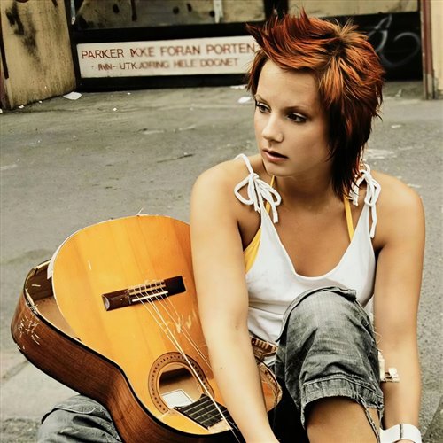 抖音热播 - Ina Wroldsen - I wanted you( Arle Remix )