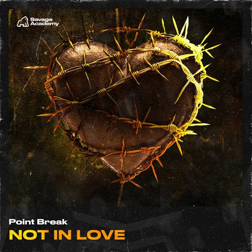 Point Break - Not In Love (Extended Mix) 