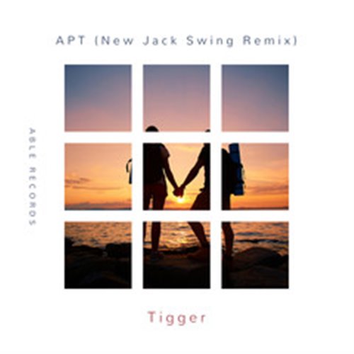 APT开车听DJ(小毅MM REMIX)