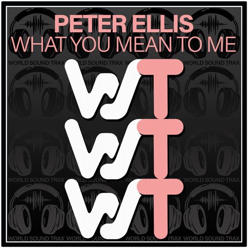 Peter Ellis - What You Mean To Me (Original Mix) 