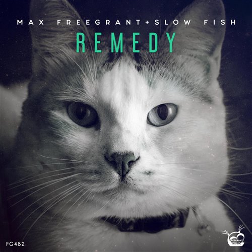 Max Freegrant  Slow Fish - Fine Day (Extended Mix) 
