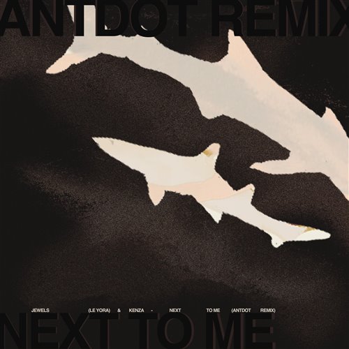 Jewels, Kenza, Le Yora - Next To Me (Antdot Remix) (Antdot Remix)