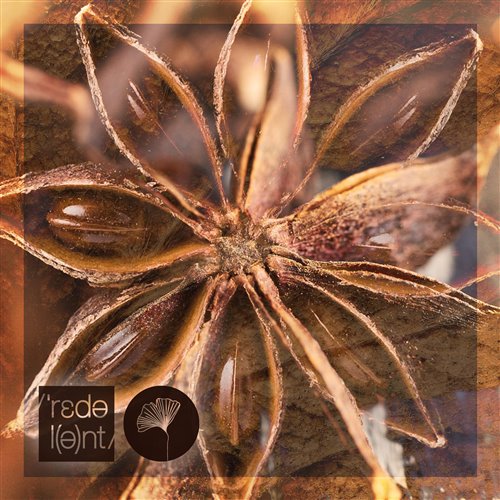 Danny Serrano, P.Rivas - Punaladas (Original Mix)