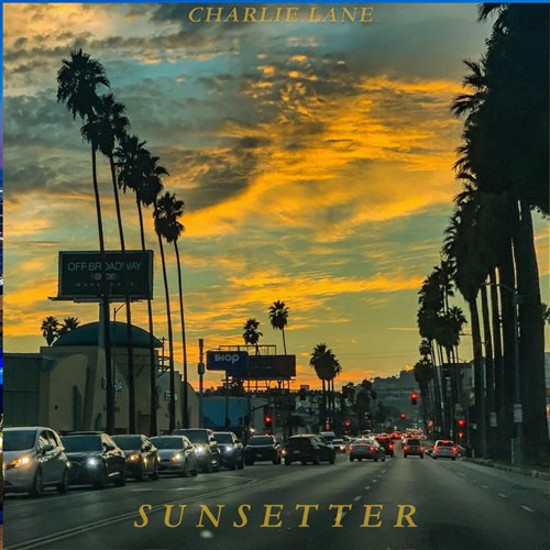 Charlie Lane - Sunsetter (Extended Mix)