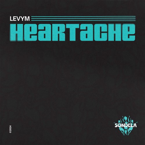 LevyM, Kash Neeve - Heartache (Extended Mix)