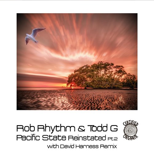 Rob Rhythm, Todd G - Pacific State Reinstated Pt.2 (David HarnessYoself Remix)