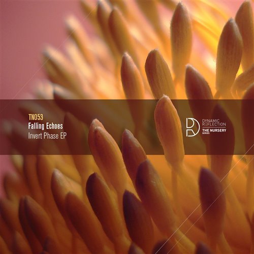 Falling Echoes - Social Mutation (Original Mix)