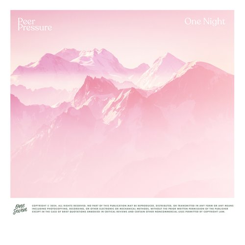 Peer Pressure - One Night (Original Mix)