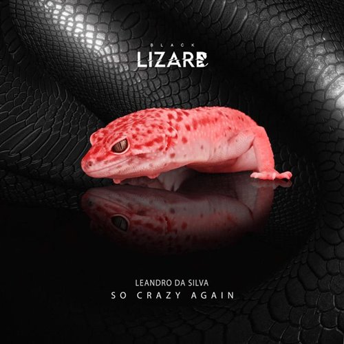 Leandro Da Silva - So Crazy Again (Extended Mix)