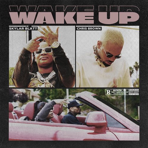 Skylar Blatt, Chris Brown - Wake Up (Quick Hit Dirty)