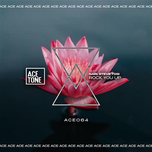 Nari, Steve Tosi, Funky Dunky - I Wish (Original Mix)