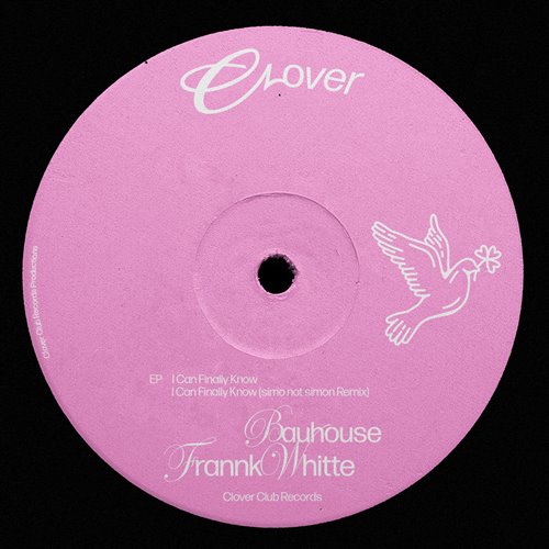 Bauhouse, Frannk Whitte - I Can Finally Know (Simo Not Simon Remix)