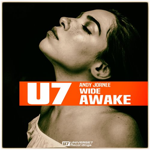 Vini Moraes - Wide Awake  (Original Mix)