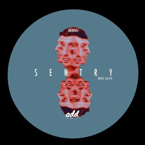 Bruce Zalcer - Moonlight Reverie (Original Mix)