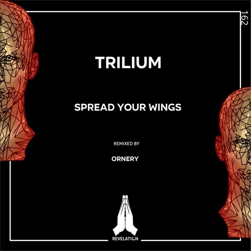 Trilium - Spread Your Wings (Ornery Remix) (Ornery Remix)