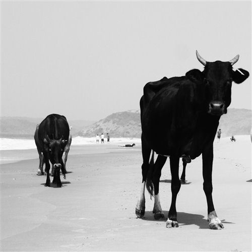 Juri Heidemann - Essas (Original Mix)