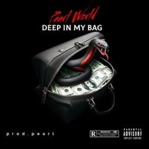 2 Chainz, Premo Rice - Deep In My Bag (Remix) (Intro Dirty)