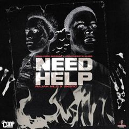 John Coop, Skeng, RajahWild - Need Help (Radio Edit)