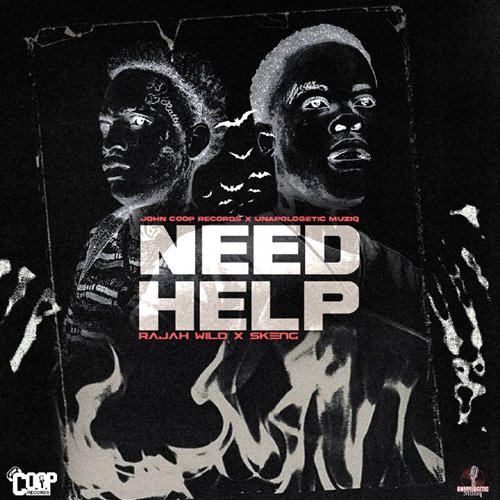 John Coop, Skeng, RajahWild - Need Help (Dirty)