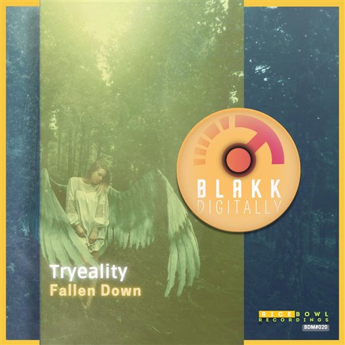 Tryeality - Fallen Down (Extended Mix)