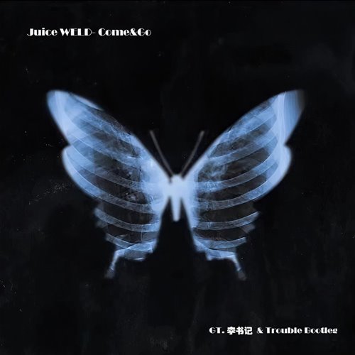 GT 李书记,Trouble - Juice WRLD -COME.GO(GT.李书记.Trouble remix)