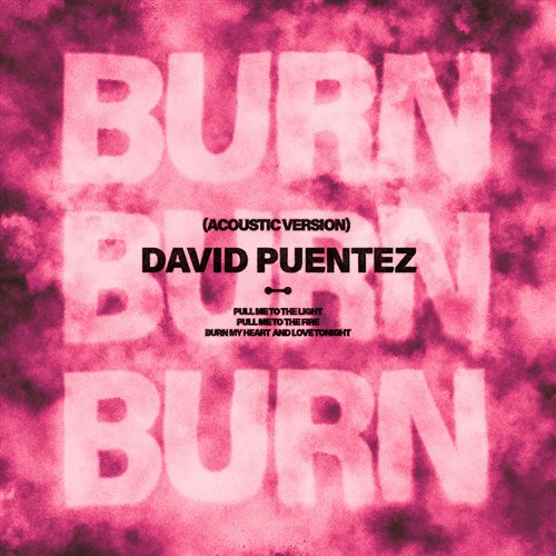 David Puentez - Burn (Acoustic Version) 