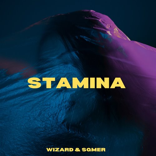 Wizard  sqmer - Stamina (Original Mix) 