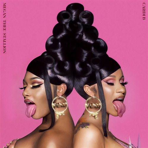 Cardi B ft Megan Thee Stallion - WAP (Tonky Bootleg) 