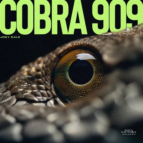 Joey Dale - COBRA 909 (Original Mix) 